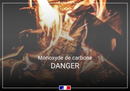 Planetoscope - Statistiques : Intoxications au monoxyde de carbone en France